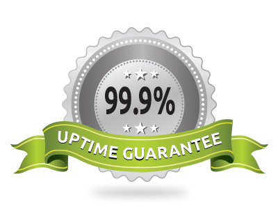 99.9% Server Uptime Guarantee